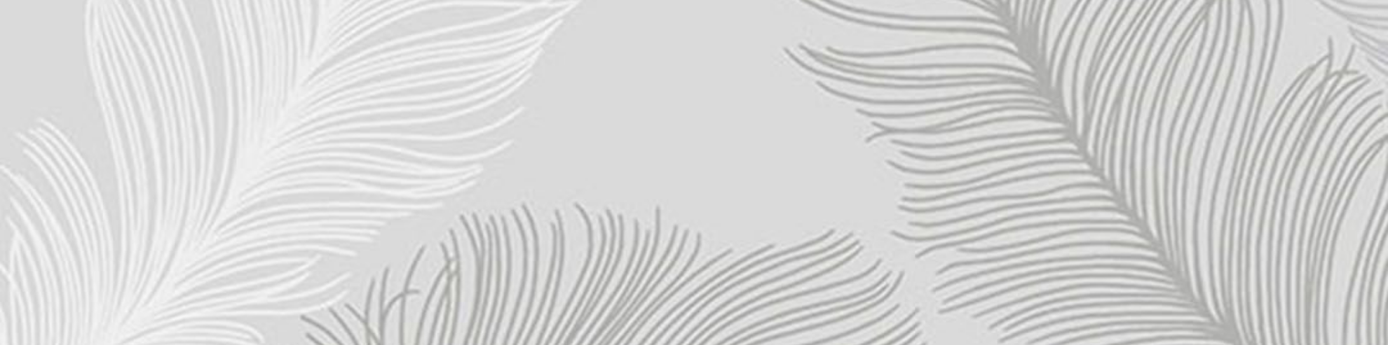 Nome da loja  Lu Reis Store