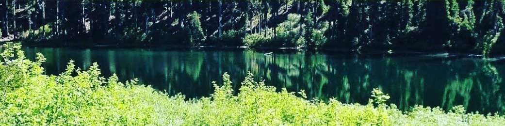 Nome da loja  Paulo Ricardo