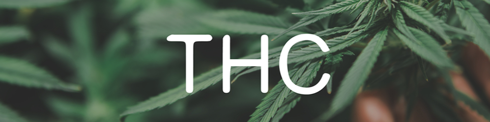 Nome da loja  TH SEDAS