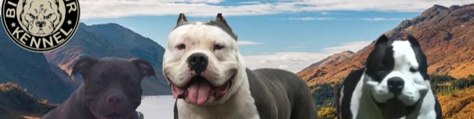 Nome da loja  Big dogs