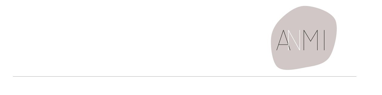 Nome da loja  ANMI