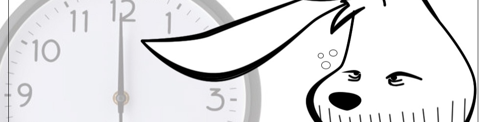 Nome da loja  Lazy Bunny