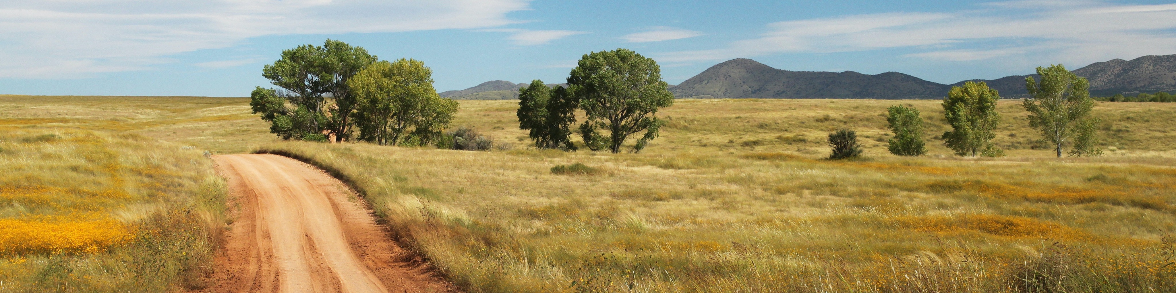 Nome da loja  Orgulho Sulista
