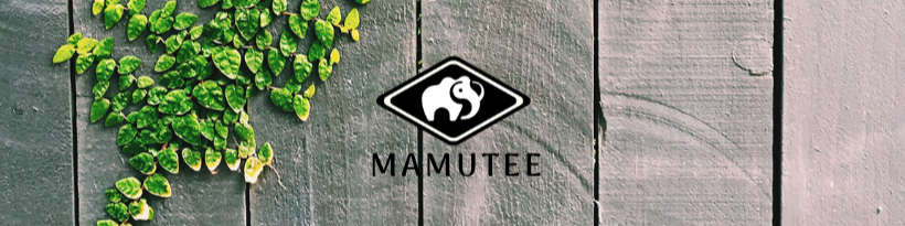 Nome da loja  Abrahão Evandro