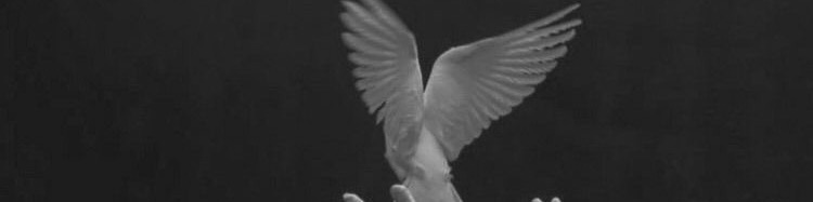 Nome da loja  Estampart