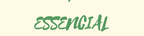 Nome da loja  ESSENCIAL BRASIL