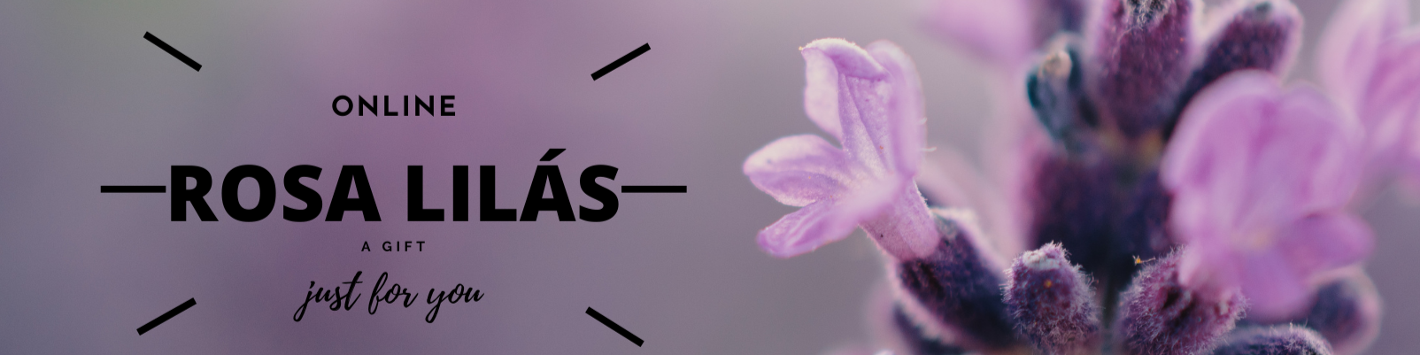 Nome da loja  Rosa lilás