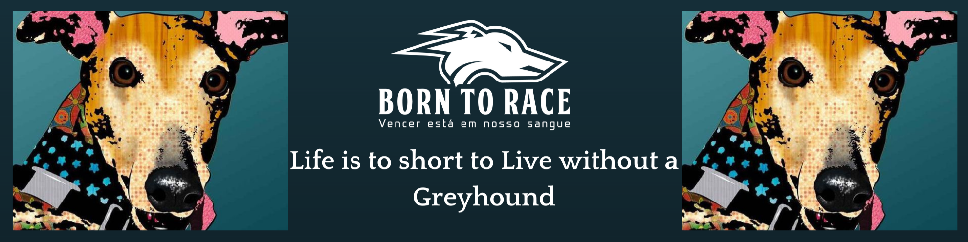 Nome da loja  BTR.BET