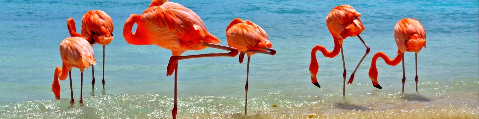 Nome da loja  Andando Vestido