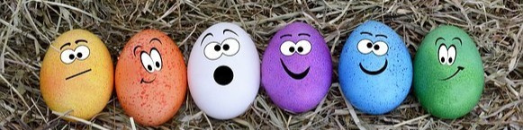 Nome da loja  BodyShield