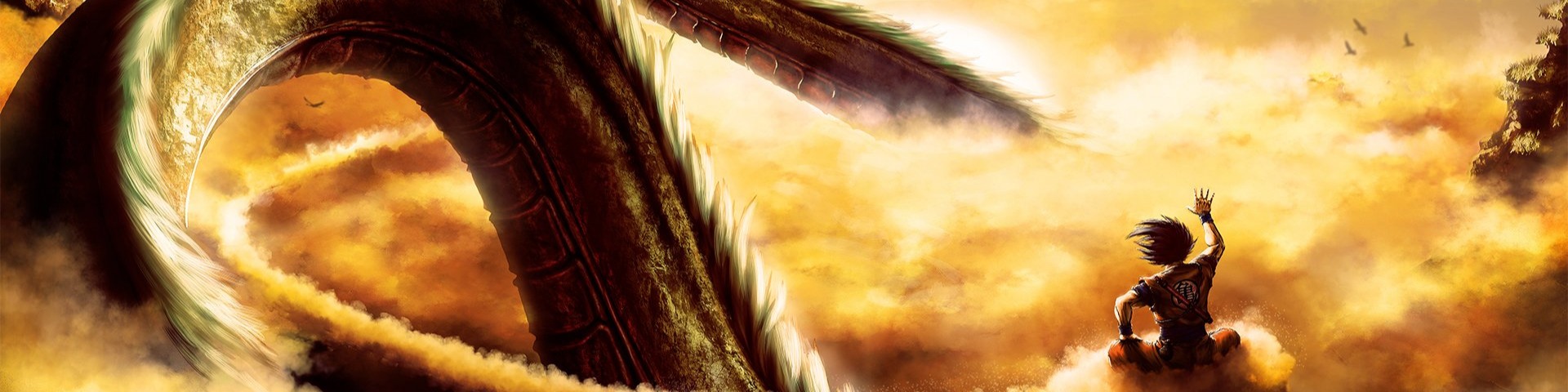 Nome da loja  Cota de malha