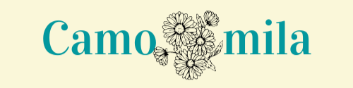 Nome da loja  Camomila 