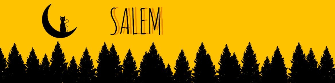 Nome da loja  Salem Store