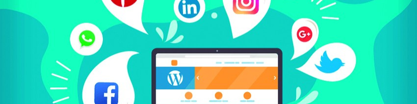 Nome da loja  Dropstok