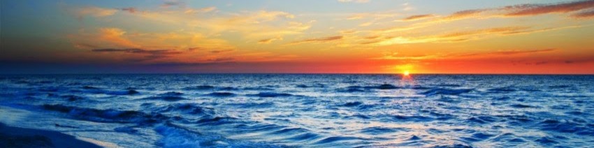 Nome da loja  Life is Good