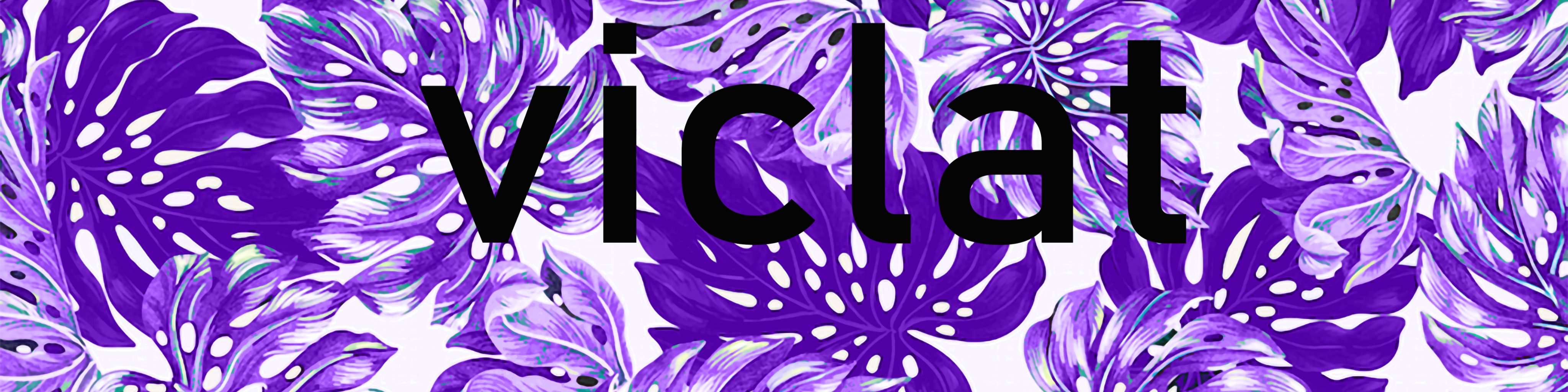 Nome da loja  VICLAT