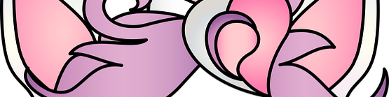 Nome da loja  TALITA CARVALHO GOMES