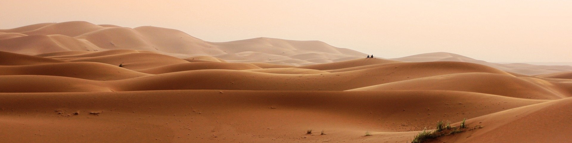 Nome da loja  HABISMO