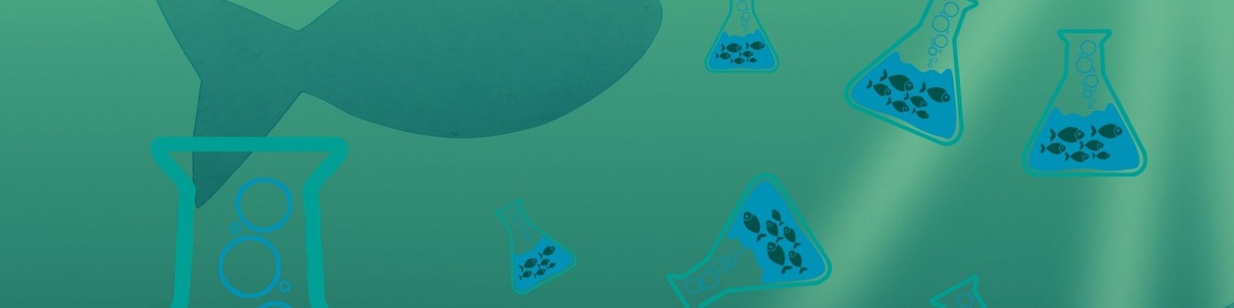 Nome da loja  campoeciencia