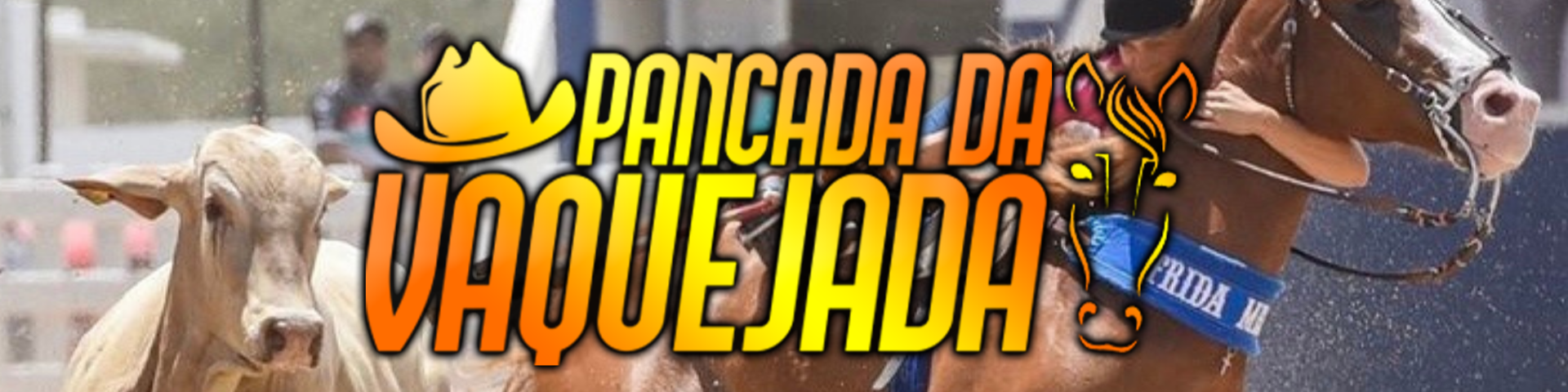 Nome da loja  Pancada Da Vaquejada