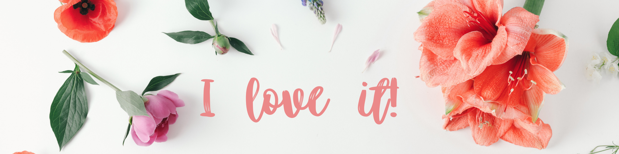 Nome da loja  I Love it