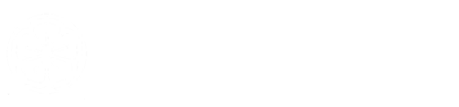 SEU MIAGUI - Camisetas e produtos personalizados