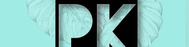 Nome da loja  PK Store