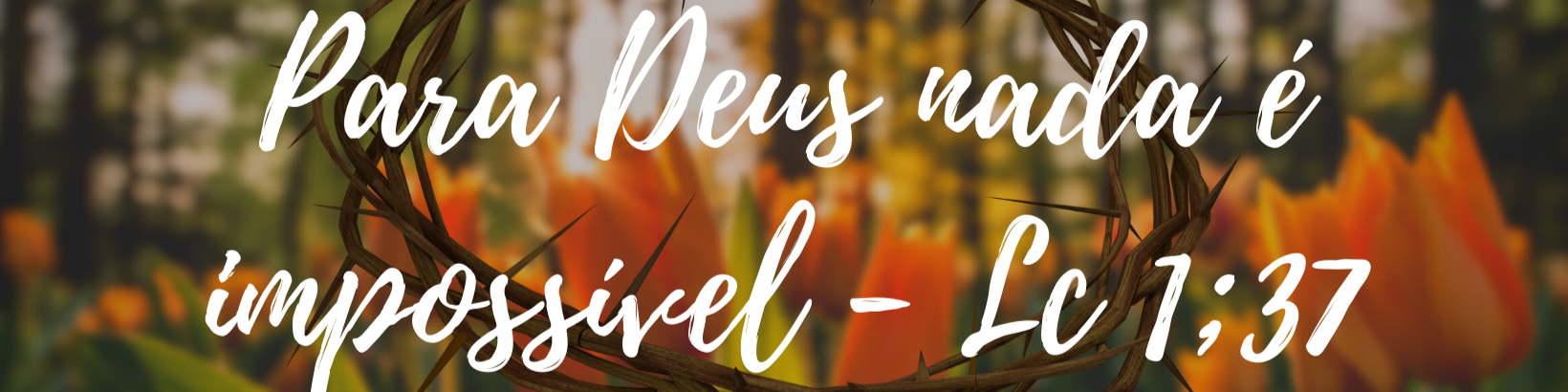 Nome da loja  Vida De Cruz