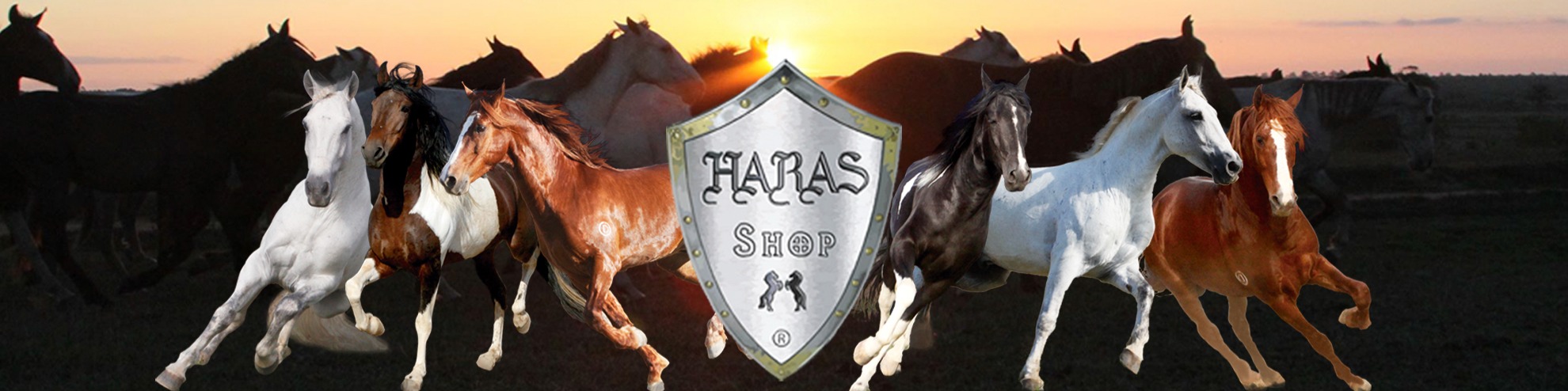 Nome da loja  HARAS SHOP
