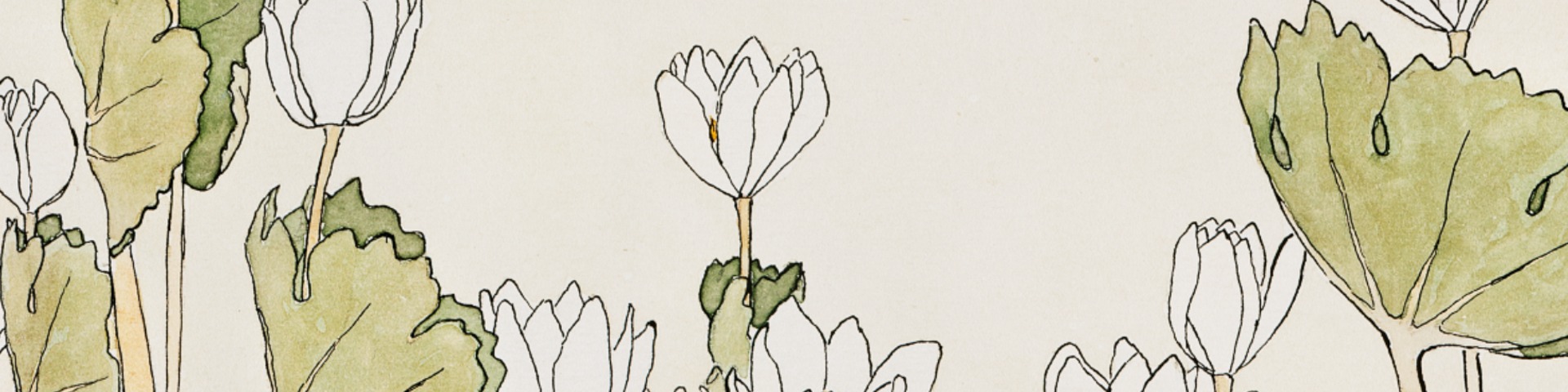 Nome da loja  Renaturare