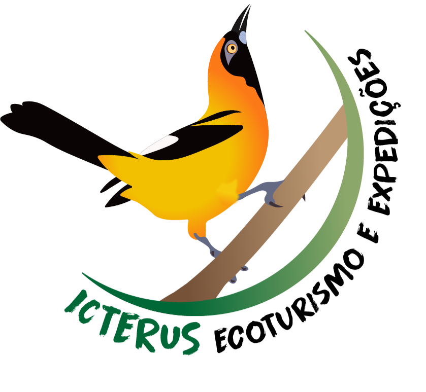 Icterus - Camisetas e produtos personalizados