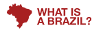 What is a Brazil? - Camisetas e produtos personalizados