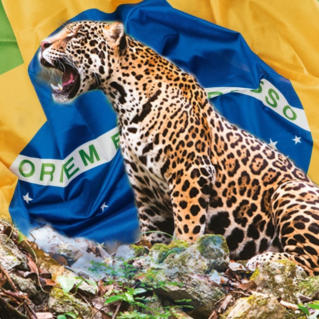 GeneralFreireGomes - Camisetas e produtos personalizados