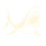 Loja Tubarão - Camisetas e produtos personalizados