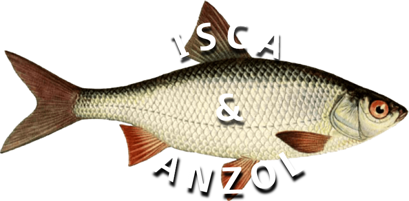 Isca & Anzol - Camisetas e produtos personalizados