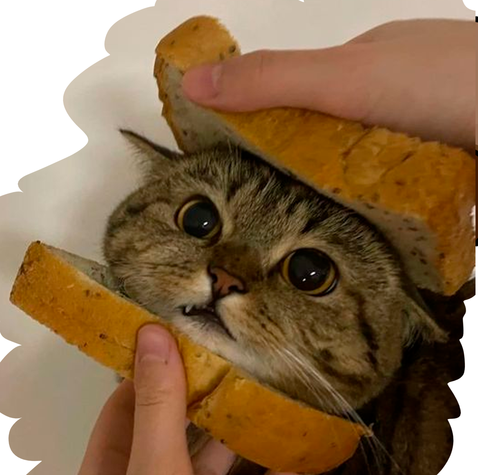 Barraquinha do Baq - Camisetas e produtos personalizados