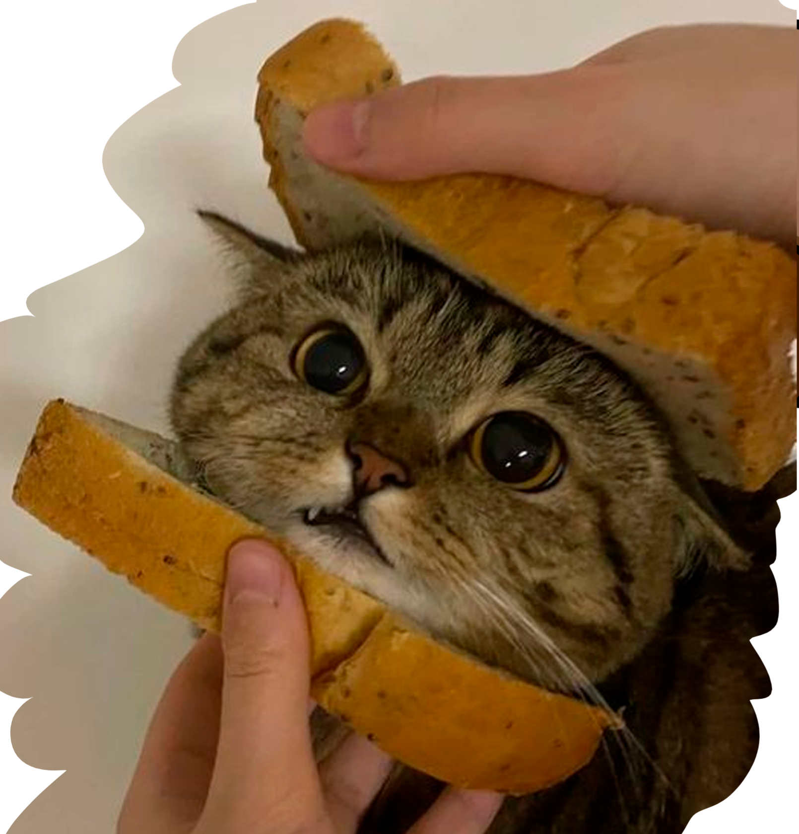 Loja de camisetas e produtos personalizados