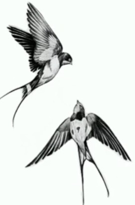 BLINCKDUU - Camisetas e produtos personalizados