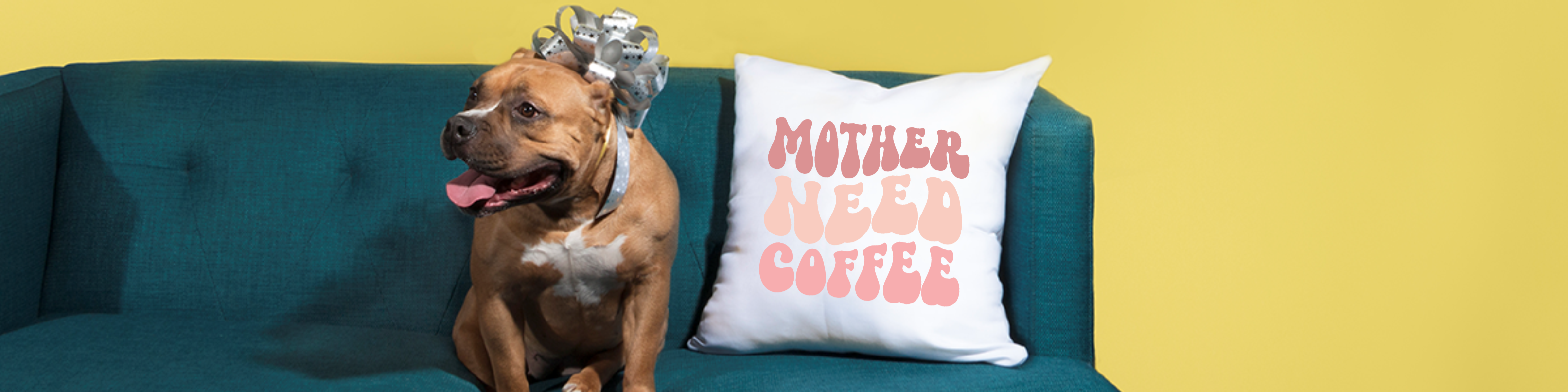 Nome da loja  Ceconello