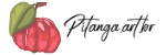 Pitanga.art - Camisetas e produtos personalizados