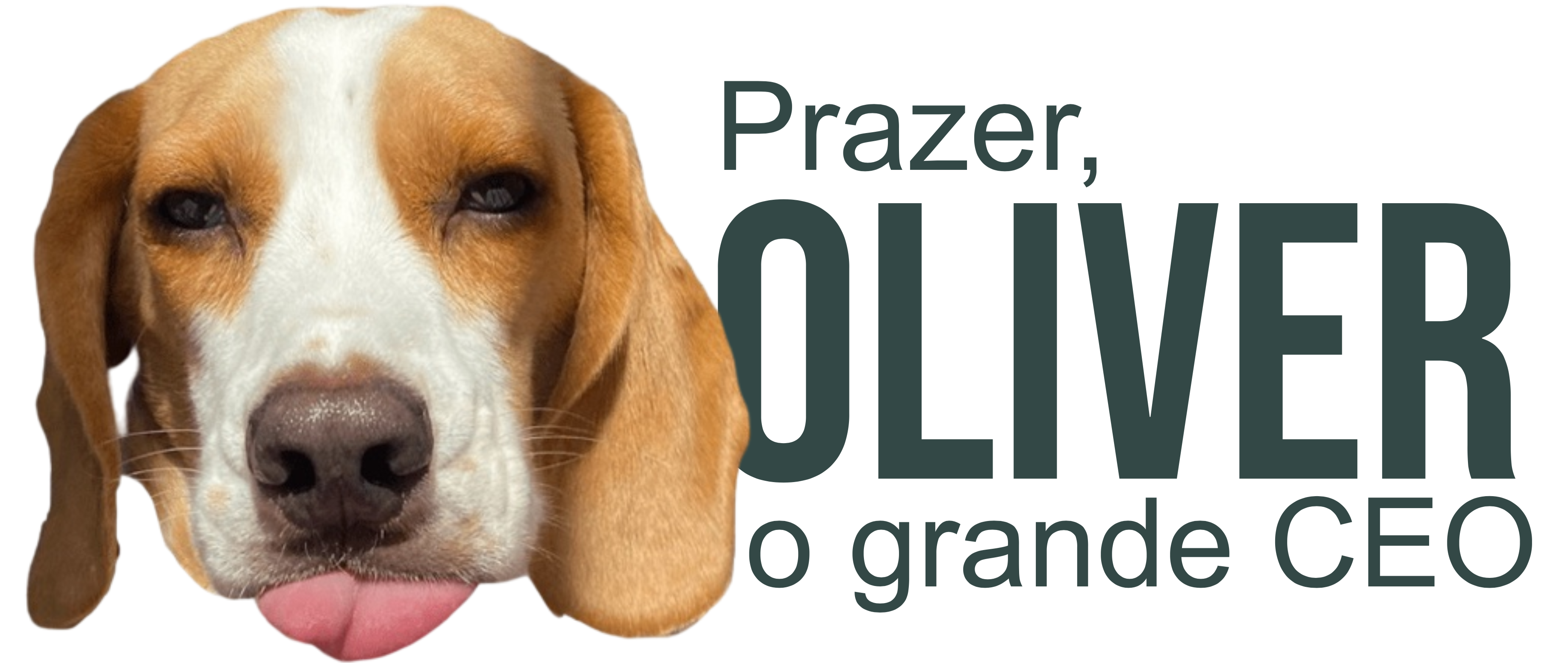 Loja de camisetas e produtos personalizados