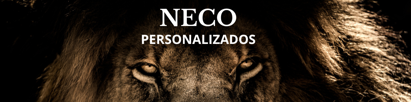 Nome da loja  Neco Modas