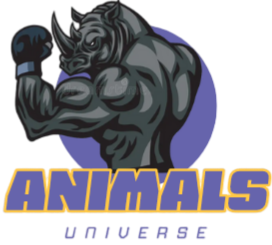 Animals Universe - Camisetas e produtos personalizados