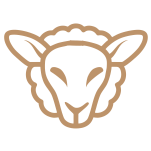 SR moda cristã - Camisetas e produtos personalizados