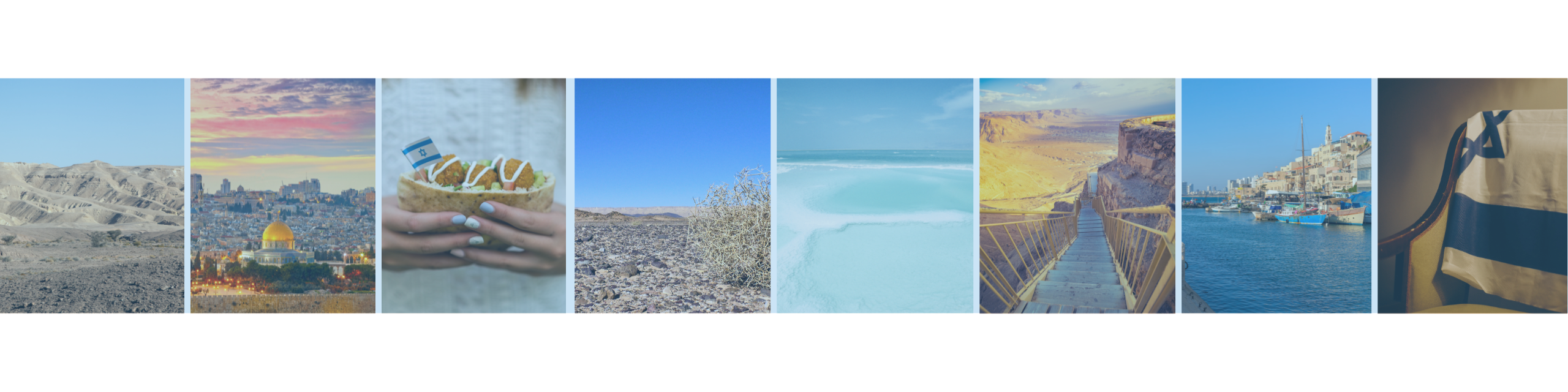 Nome da loja  Camisas de Israel