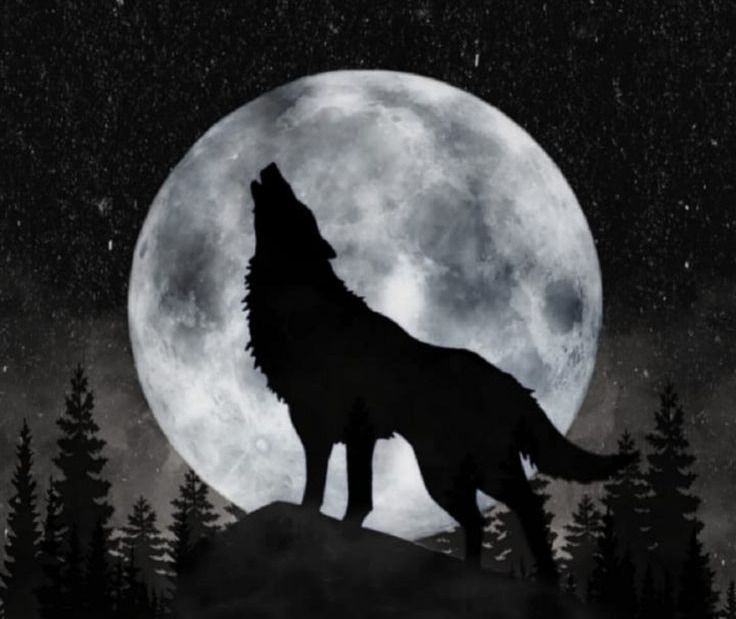 Loja de camisetas e produtos personalizados