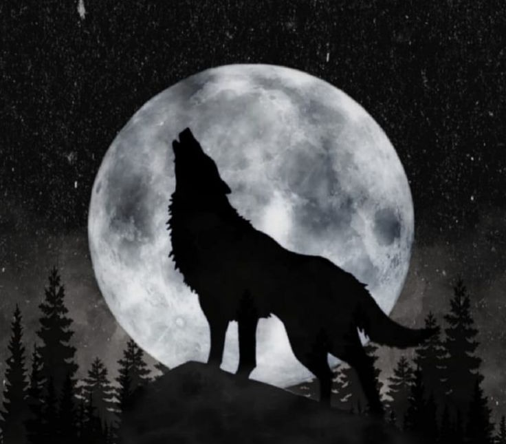 White Wolf - Camisetas e produtos personalizados