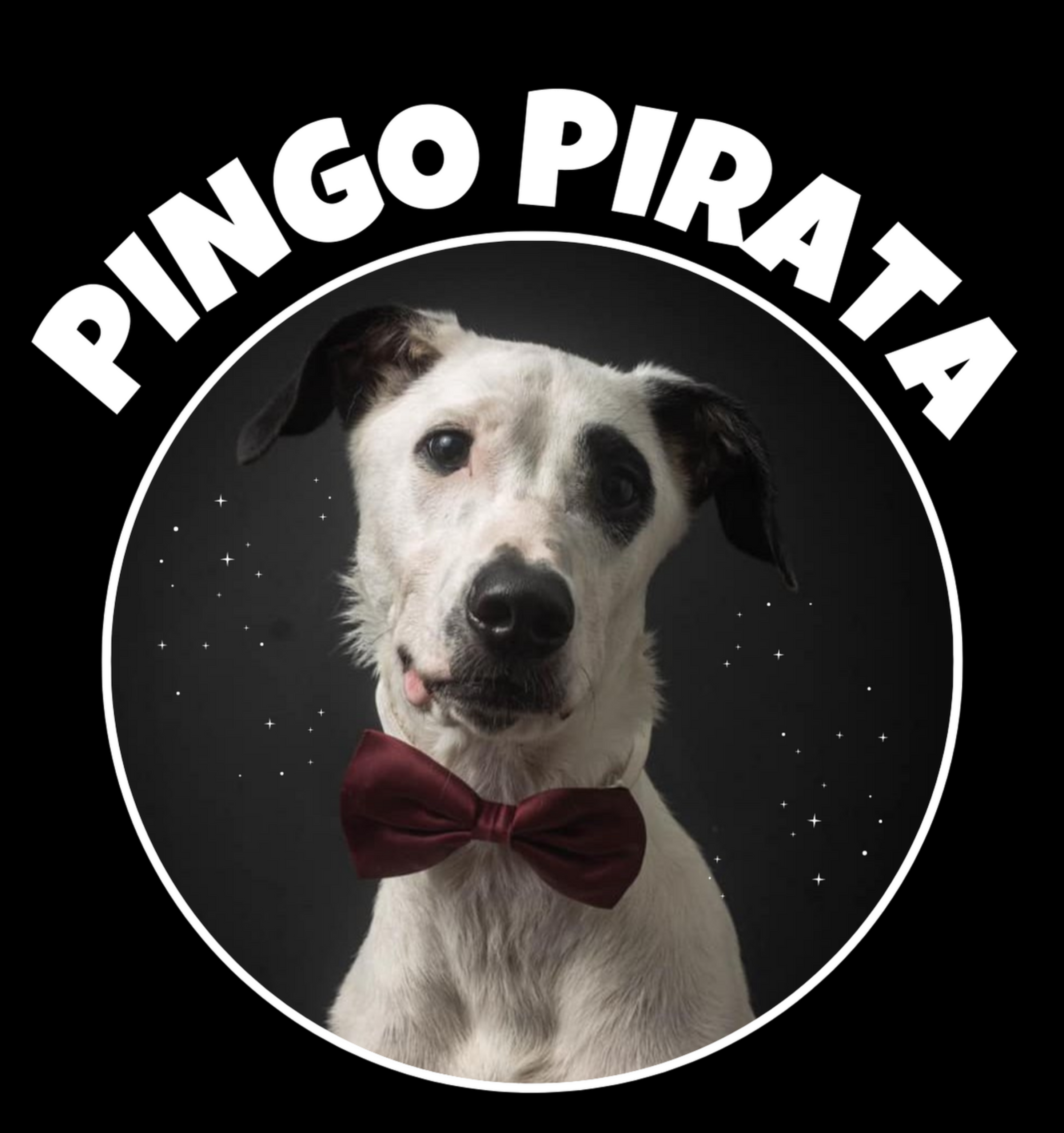 Loja do Pingo Pirata