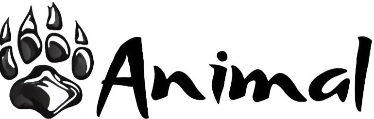 Animal Club - Camisetas e produtos personalizados