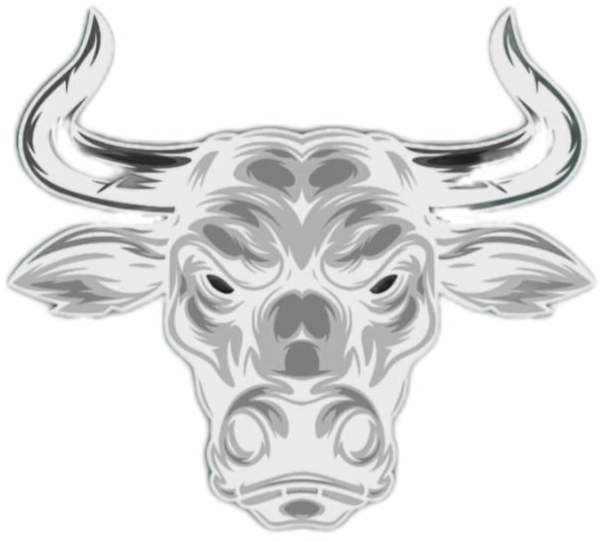 THE BULL'S STORE - Camisetas e produtos personalizados